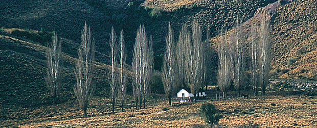 Villa Llanqu�n